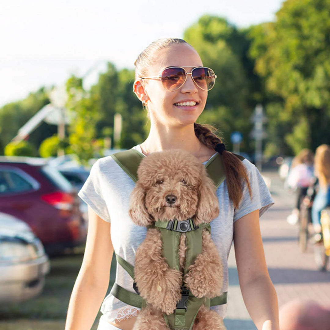 Portable Pet Carrier - Breathable & Ready to Travel