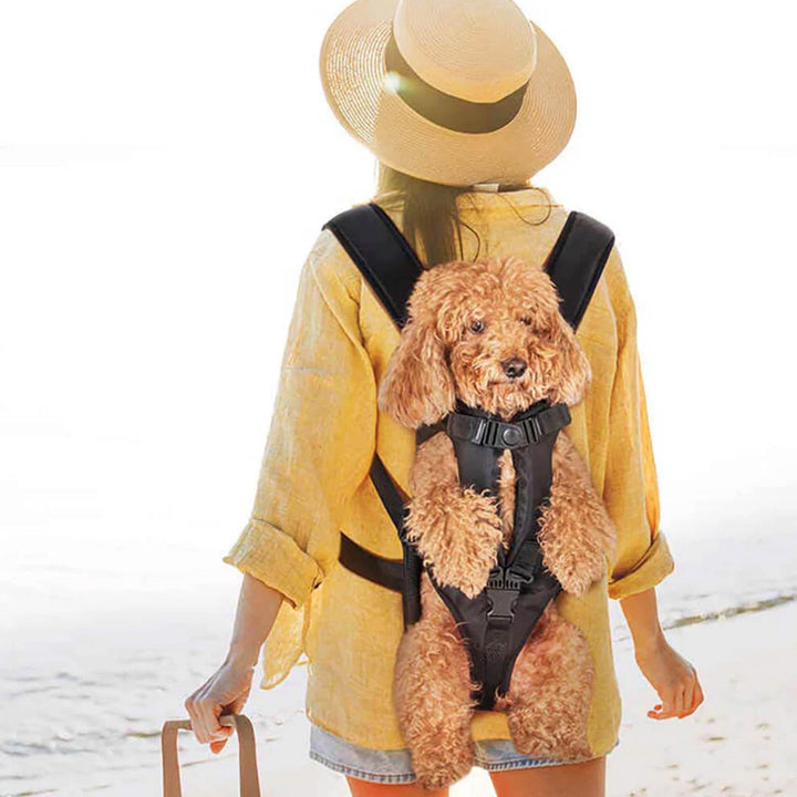 Portable Pet Carrier - Breathable & Ready to Travel