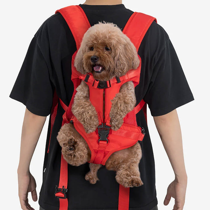 Portable Pet Carrier - Breathable & Ready to Travel