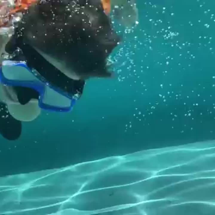 AquaClear Snorkel Set – Watertight, Comfortable and with Great Visibility