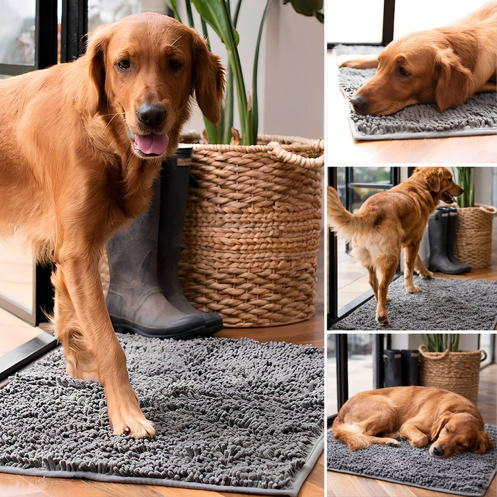 Absorbent Non-Slip Dog Doormat for Muddy Paws