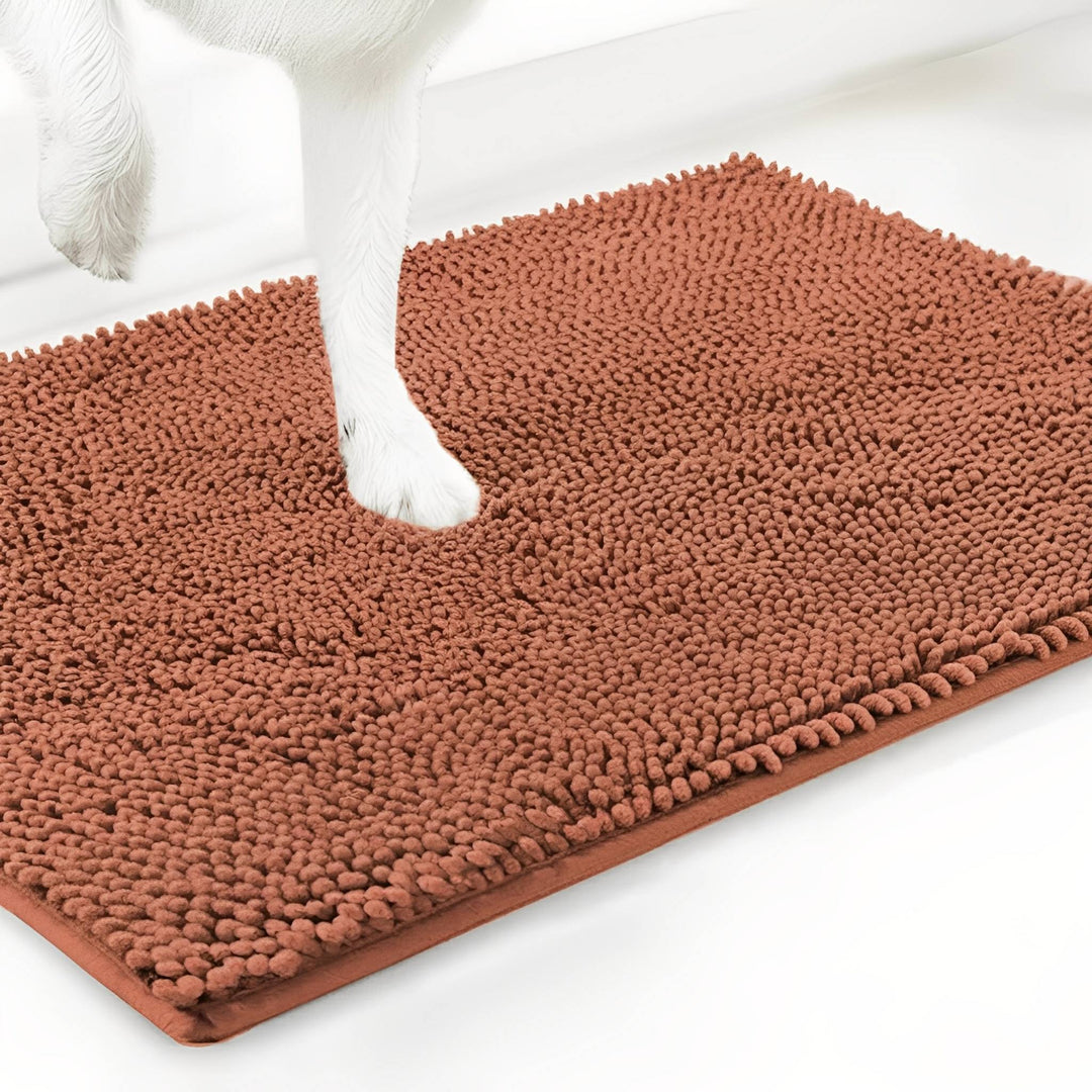 Absorbent Non-Slip Dog Doormat for Muddy Paws
