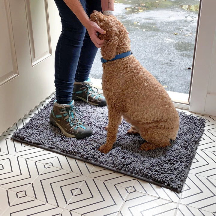 Absorbent Non-Slip Dog Doormat for Muddy Paws