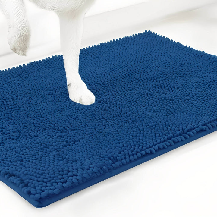 Absorbent Non-Slip Dog Doormat for Muddy Paws