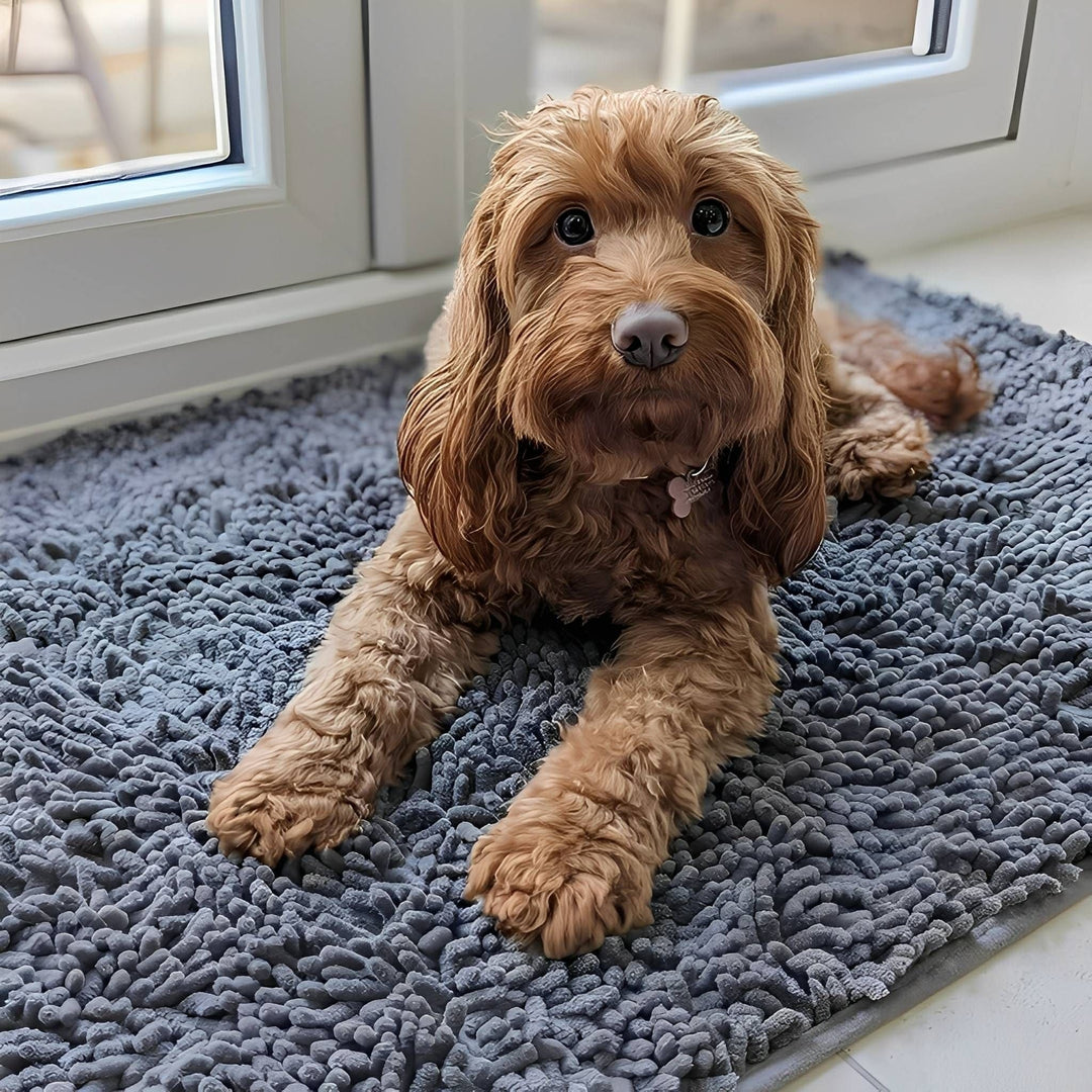 Absorbent Non-Slip Dog Doormat for Muddy Paws