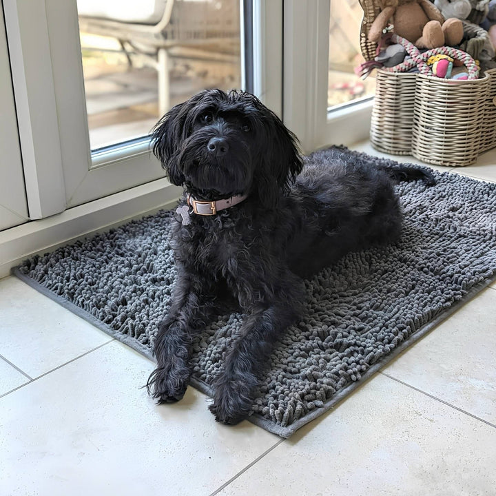 Absorbent Non-Slip Dog Doormat for Muddy Paws