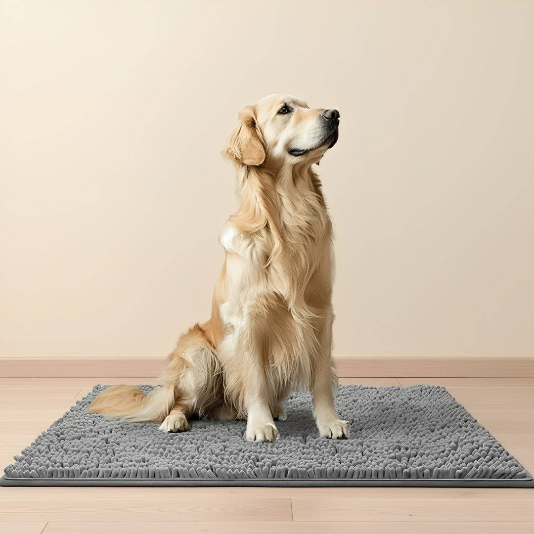 Absorbent Non-Slip Dog Doormat for Muddy Paws