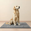 Absorbent Non-Slip Dog Doormat for Muddy Paws