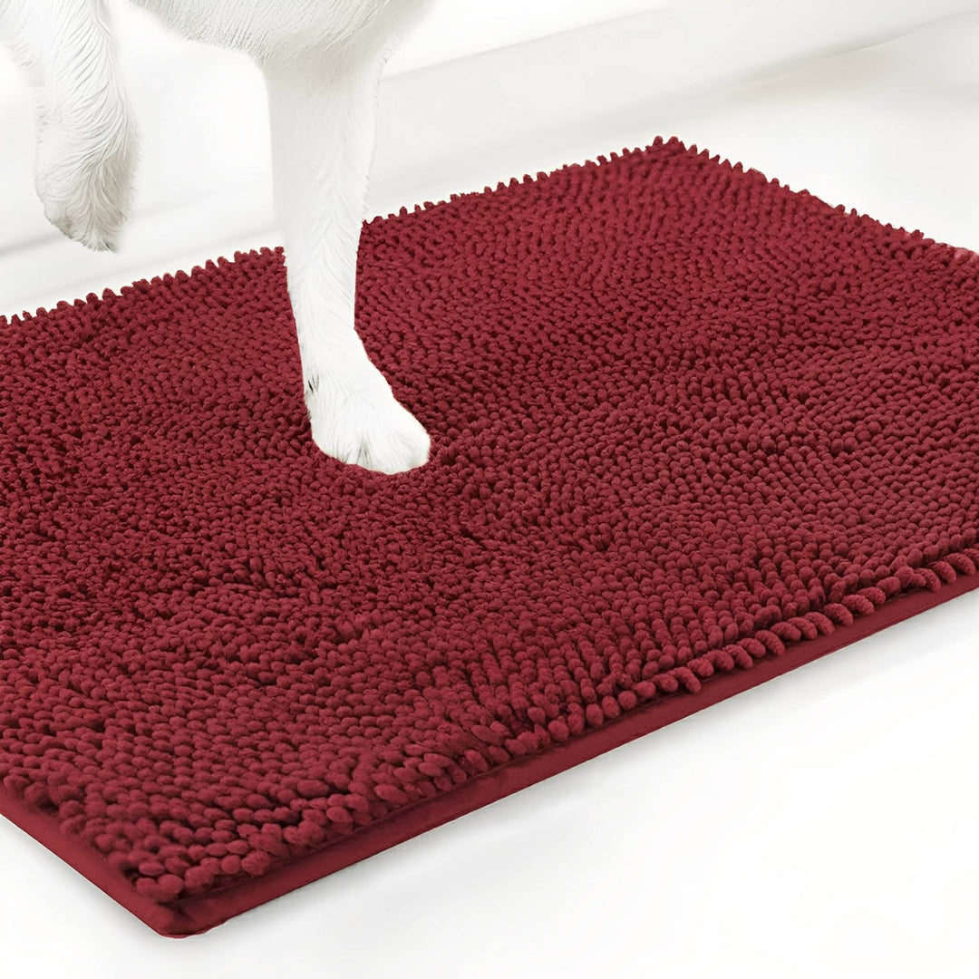 Absorbent Non-Slip Dog Doormat for Muddy Paws