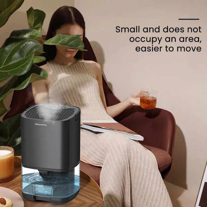 Compact Portable Dehumidifier for Home with Air Filter