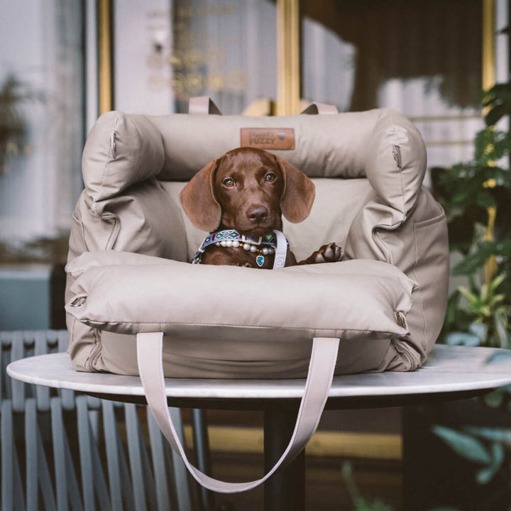 Comfortable Winter Car Seat for Dogs - PawLuxury