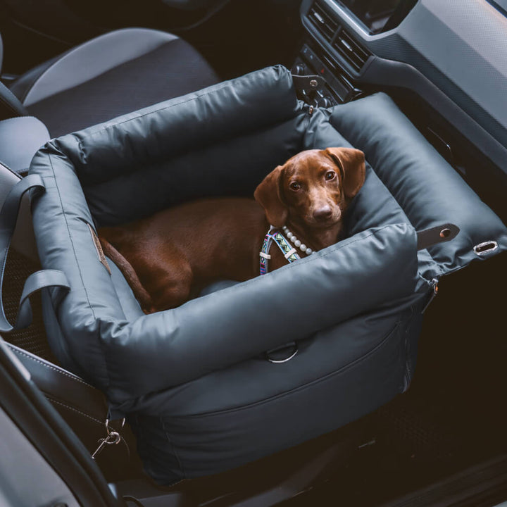 Comfortable Winter Car Seat for Dogs - PawLuxury