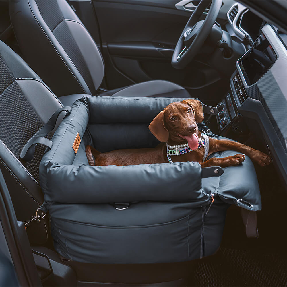 Comfortable Winter Car Seat for Dogs - PawLuxury