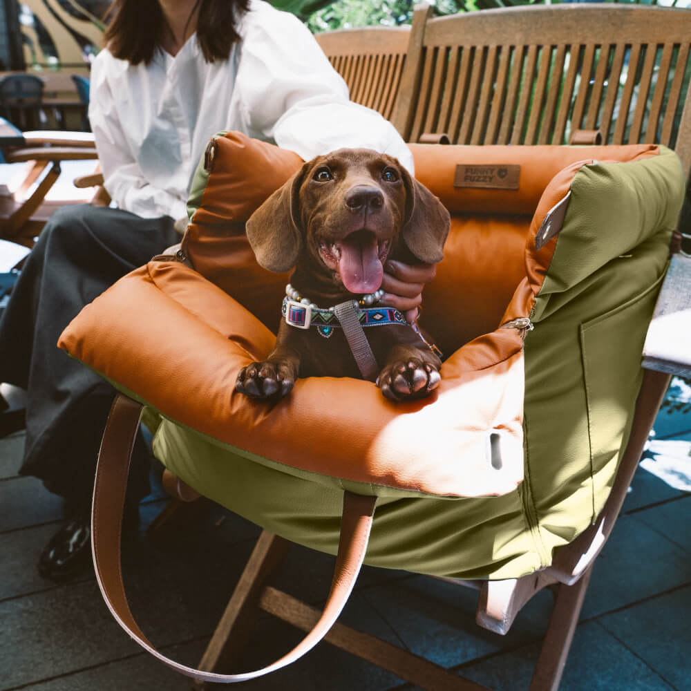 Comfortable Winter Car Seat for Dogs - PawLuxury
