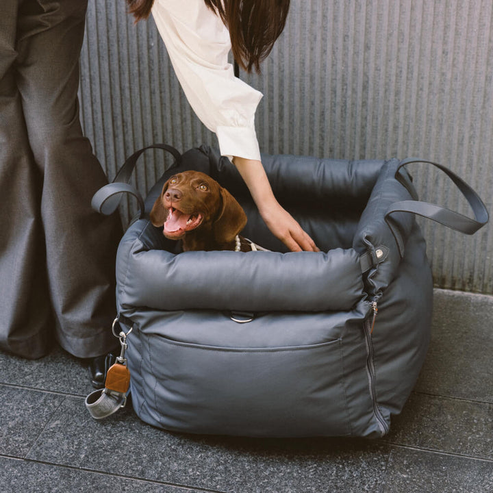 Comfortable Winter Car Seat for Dogs - PawLuxury