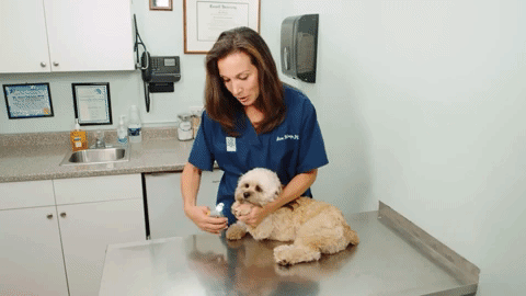 MAX - The Best Dog Nail Clippers with Quick-Sensors