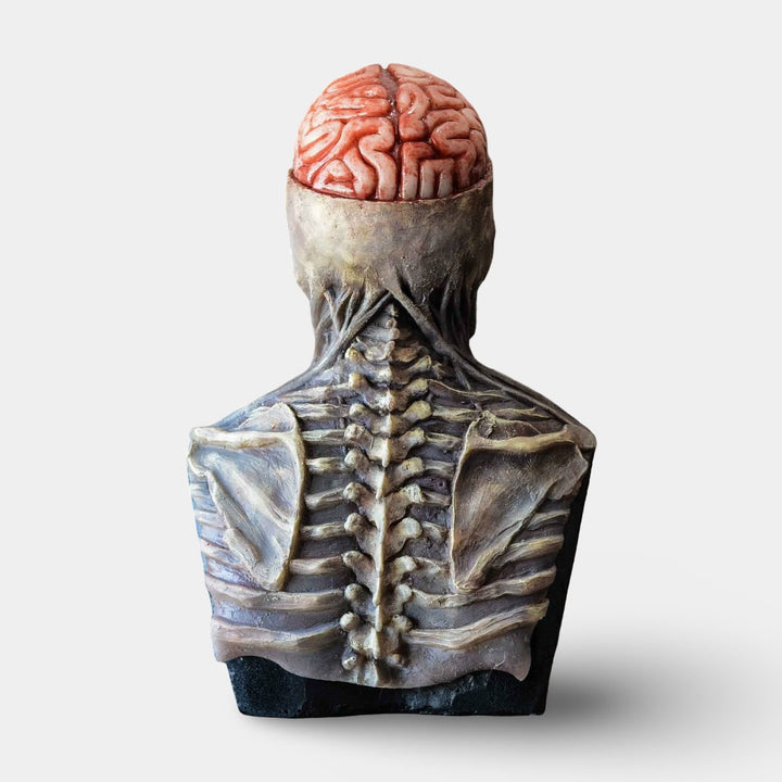 Halloween Skeleton Bust Garage Door Cover with Exposed Brain Detail for Spooky Party Decoration