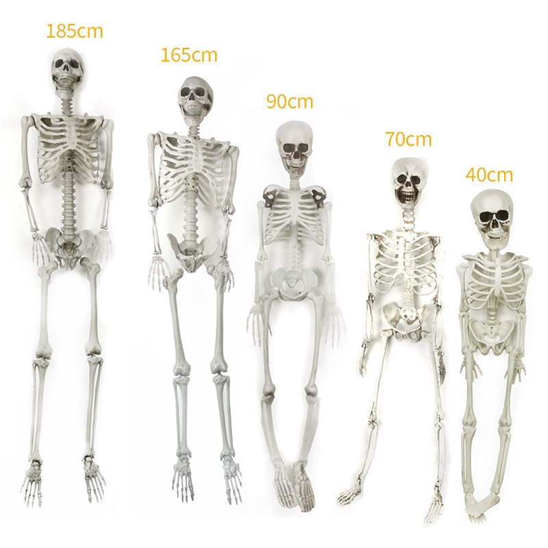 Halloween Skeleton Decoration and Garage Door Cover Posable Plastic Prop