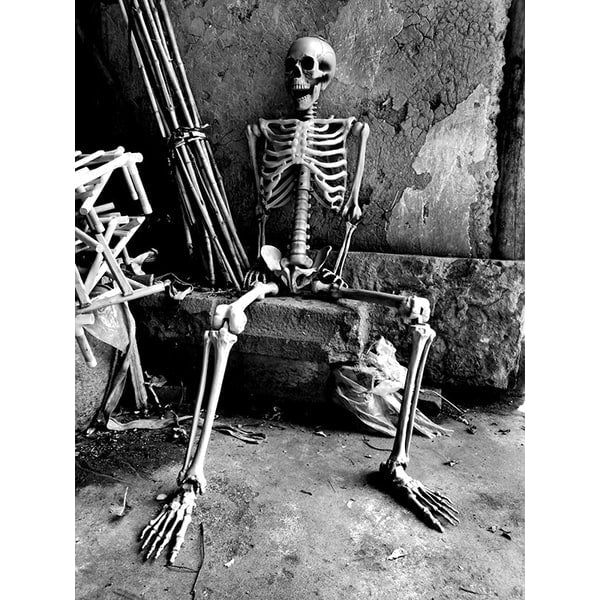 Halloween Skeleton Decoration and Garage Door Cover Posable Plastic Prop