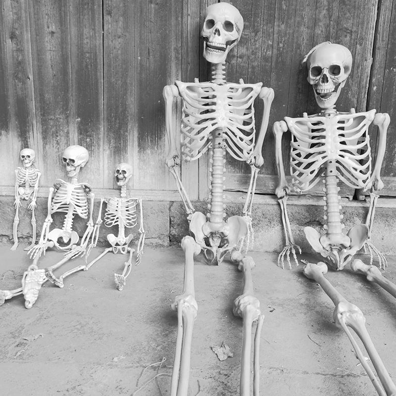 Halloween Skeleton Decoration and Garage Door Cover Posable Plastic Prop