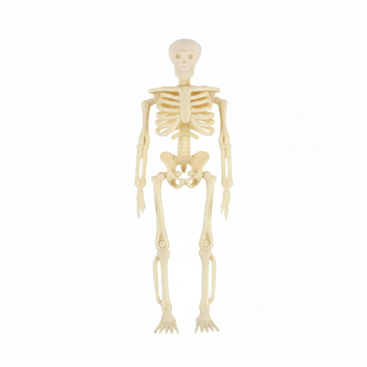 Halloween Skeleton Decorations Mini Plastic Posable Figurines with Jute Twine for Party and Haunted