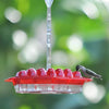 Hummingbird Feeder Hanging Plastic Outdoor Multiple Ports Perch Nectar
