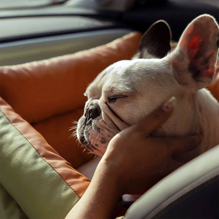 Comfortable Winter Car Seat for Dogs - PawLuxury