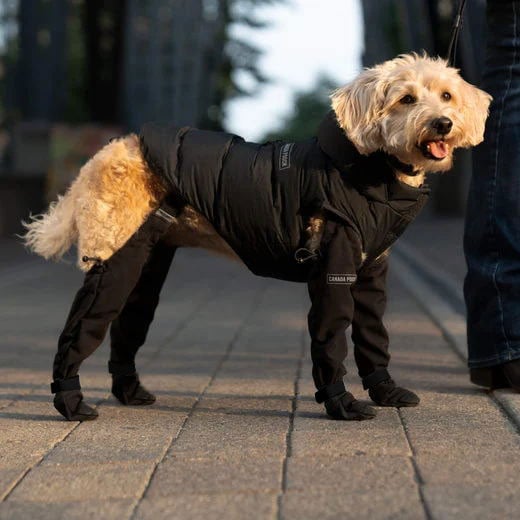 Safe Outdoor Adventure Boots – PawShield