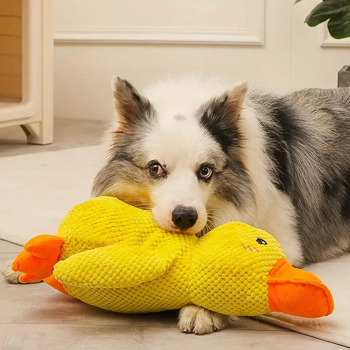 Interactive Dog Toy with Sound and Dental Care - FlappyDuck