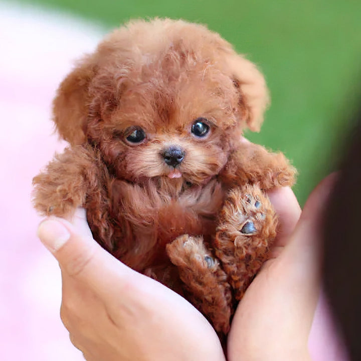 Interactive Realistic Plush Puppy Dog Toy with Moving Sounds and Soft Curly Fur Robot
