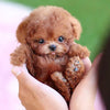 Interactive Realistic Plush Puppy Dog Toy with Moving Sounds and Soft Curly Fur Robot