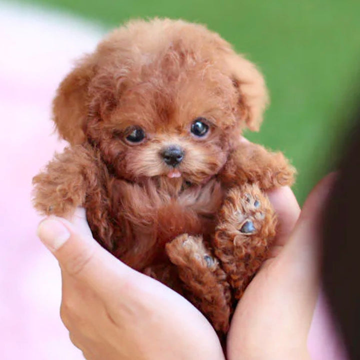 Interactive Realistic Plush Puppy Dog Toy with Moving Sounds and Soft Curly Fur Robot