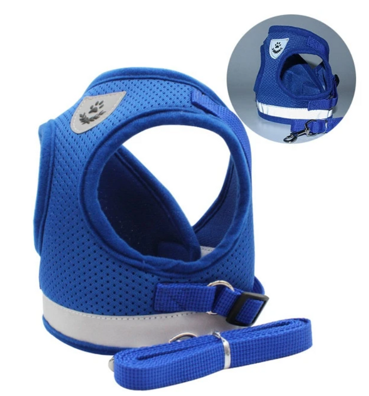 Cat Harness with Leash - Safety and Comfort for Adventures