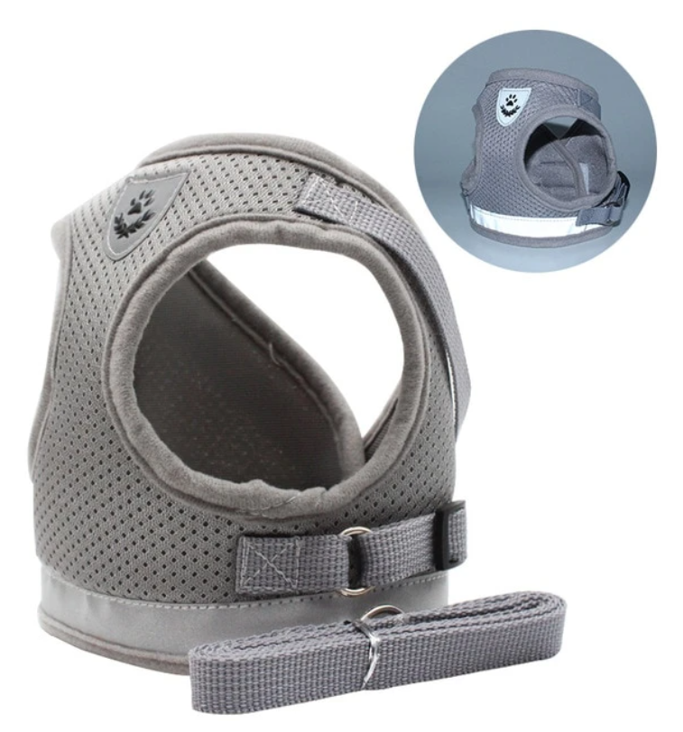 Cat Harness with Leash - Safety and Comfort for Adventures