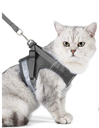 Cat Harness with Leash - Safety and Comfort for Adventures