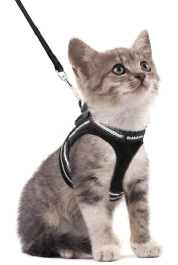 Cat Harness with Leash - Safety and Comfort for Adventures