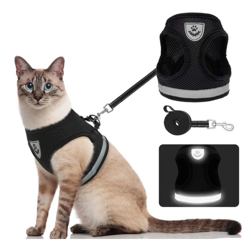 Cat Harness with Leash - Safety and Comfort for Adventures