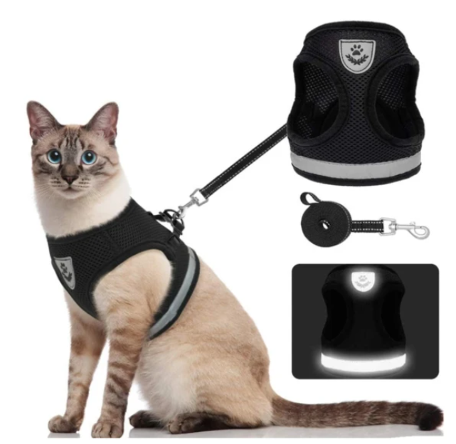 Cat Harness with Leash - Safety and Comfort for Adventures