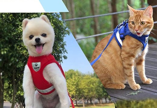 Cat Harness with Leash - Safety and Comfort for Adventures
