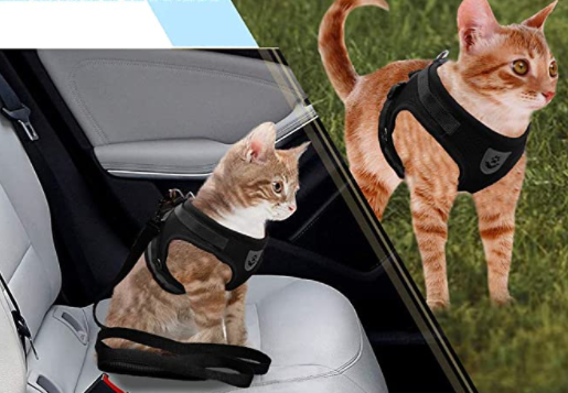 Cat Harness with Leash - Safety and Comfort for Adventures