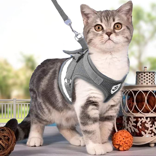 Cat Harness with Leash - Safety and Comfort for Adventures
