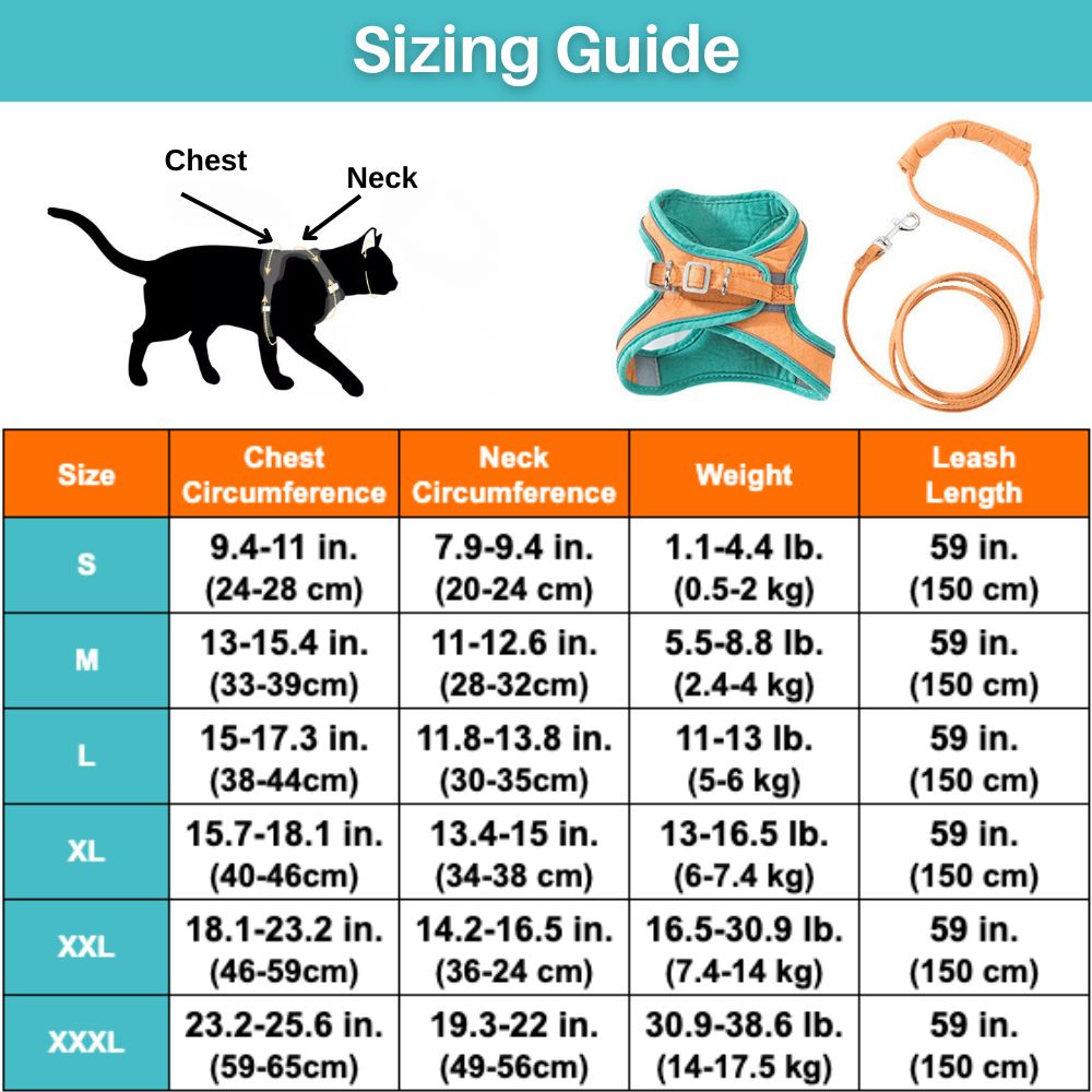 Cat Harness – Oscar
