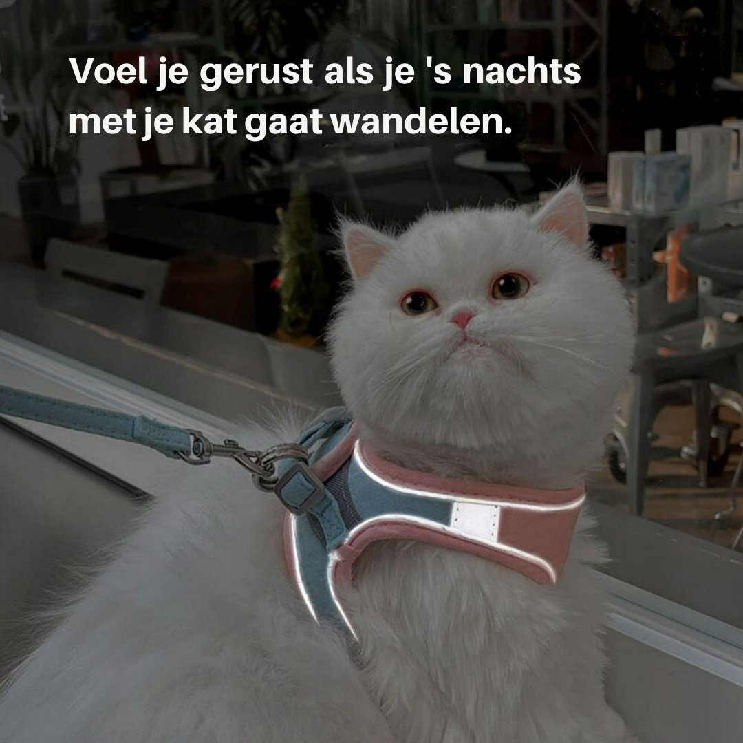 Cat Harness – Oscar