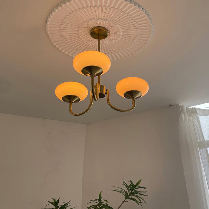 Modern Chandelier | Luxurious and Refined Design