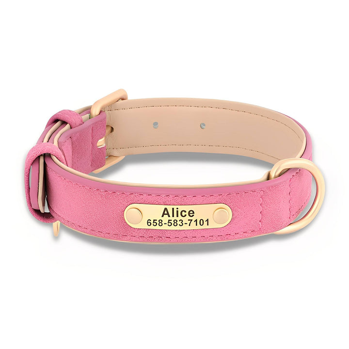 Engraved Leather Dog Collar with Personalised Nameplate