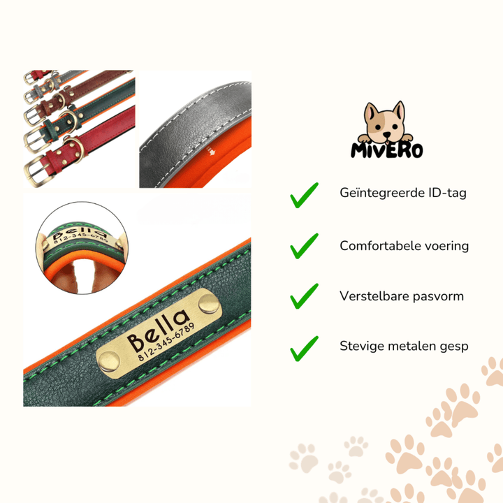 Engraved Leather Dog Collar with Personalised Nameplate