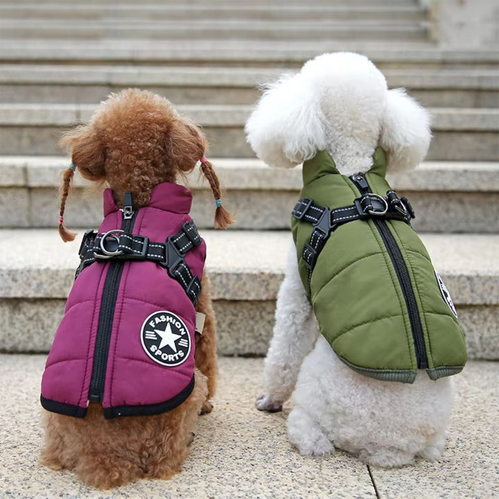 Padded & Lined Winter Dog Coat with Built-In Harness