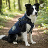 Padded & Lined Winter Dog Coat with Built-In Harness