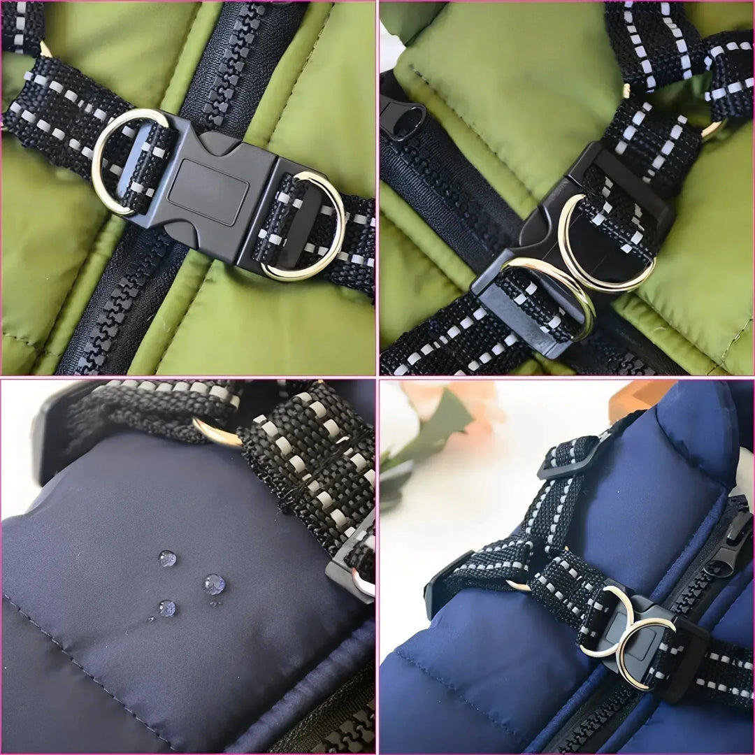 Padded & Lined Winter Dog Coat with Built-In Harness
