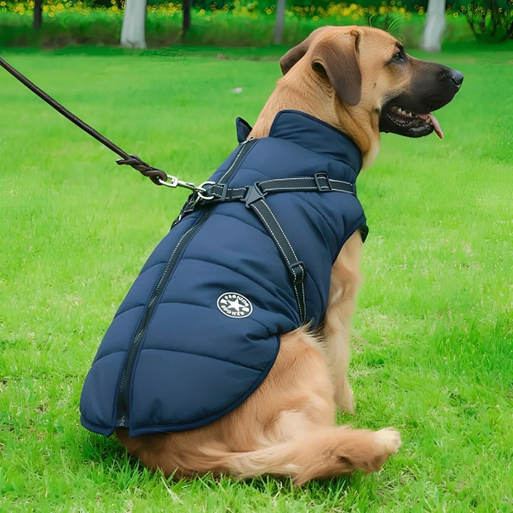 Padded & Lined Winter Dog Coat with Built-In Harness
